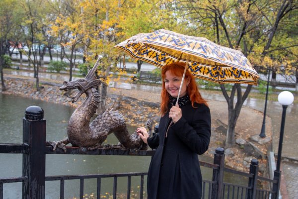 Китайский парк Благовещенск