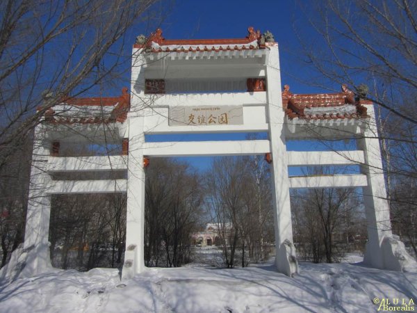 Парк дружбы Благовещенск