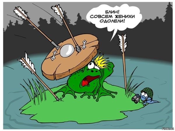 Царевна лягушка юмор