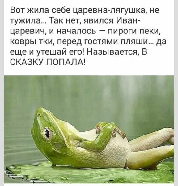 Прикольные фразы про лягушек