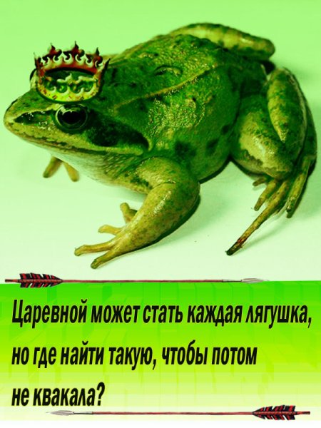 Шутки про лягушек