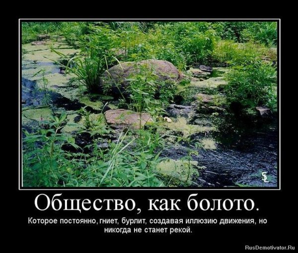 Шутки про болото