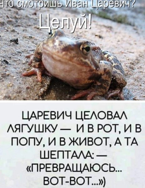 Иван Царевич целует лягушку