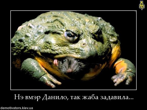 Жадная жаба