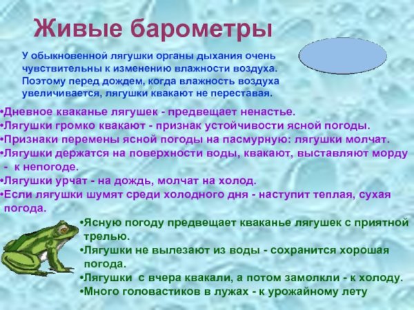 Приметы связанные с лягушками и жабами