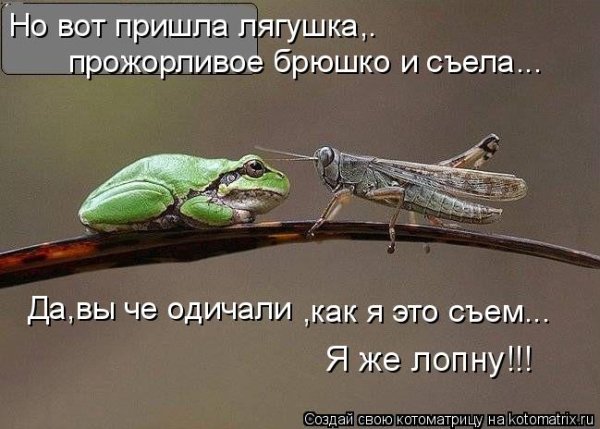 И вот пришла лягушка прожорливое