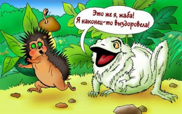 Анекдоты про животных в картинках