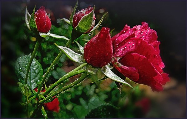 С пожеланиями всего наилучшего