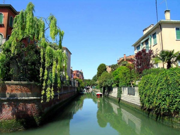 Пауту Шаранта зелёная Венеция