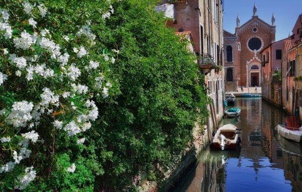 Венеция, Италия и цветы