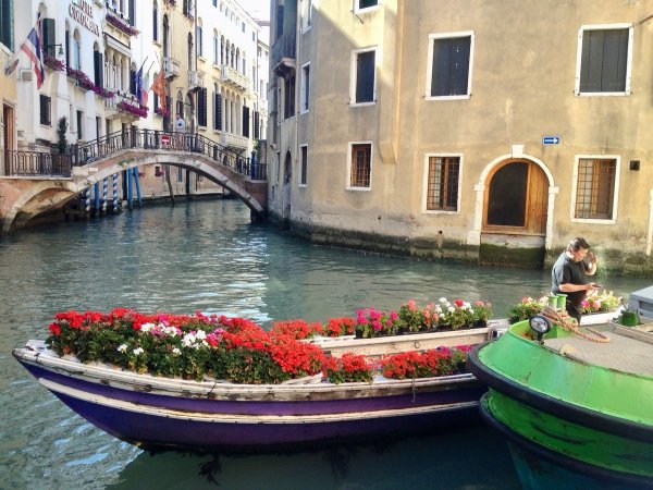 Венеция в цветах