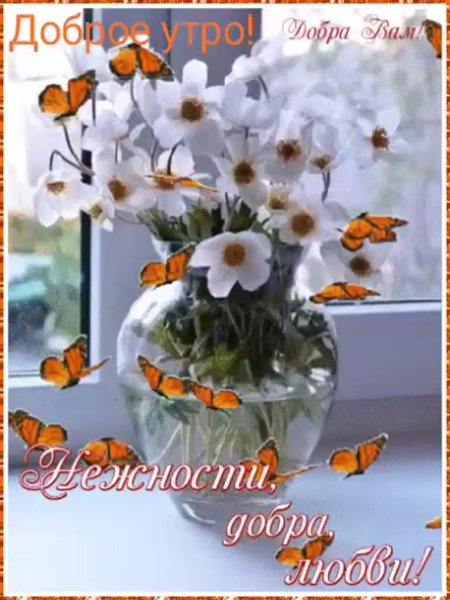 Счастья и добра с самого утра