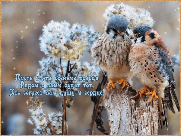 Доброе утро душевное тепло