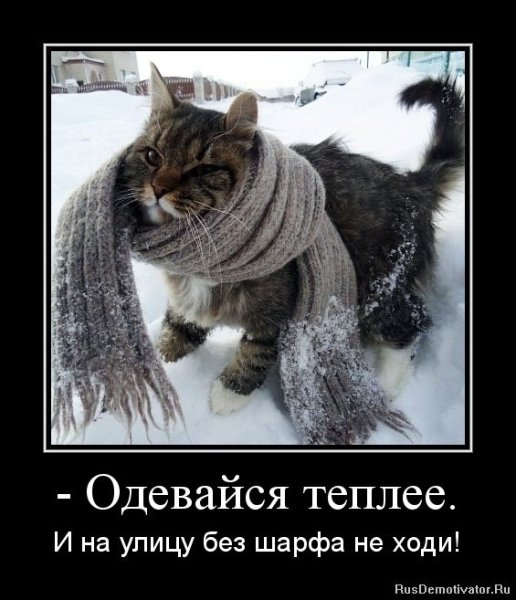 Одевайтесь теплее
