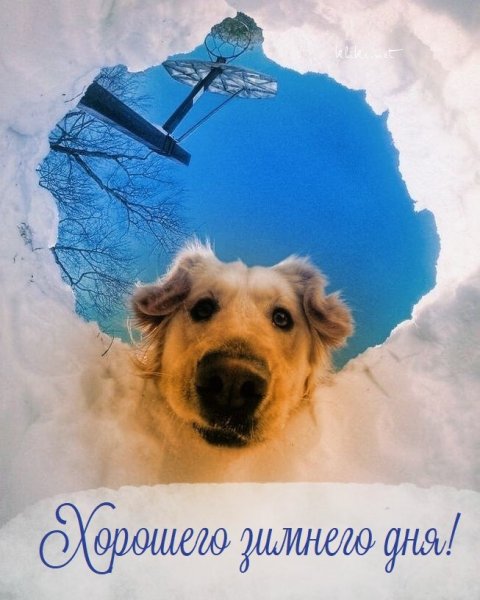 Просыпайся Весна пришла