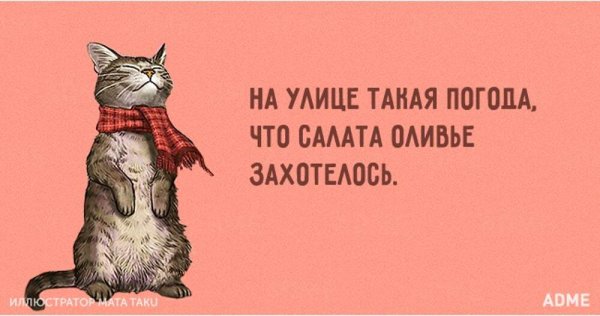 Шутки про холодную осень