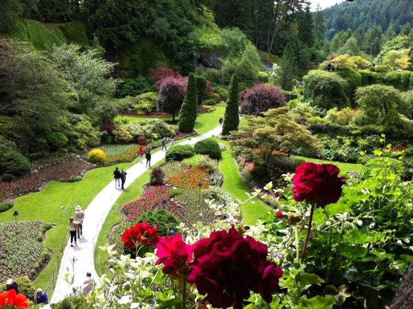 "Сады Бутчартов (the Butchart Gardens) Ванкувер, Канада