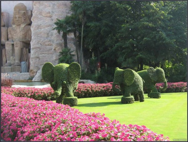 Индийские сады и парки