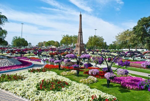Цветочный парк Парадиз в ОАЭ