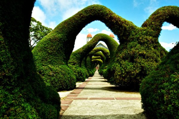 Парк Франциско Альварадо Коста-Рика фото