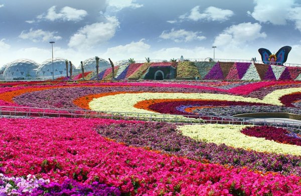 Миракл Гарден клумбы