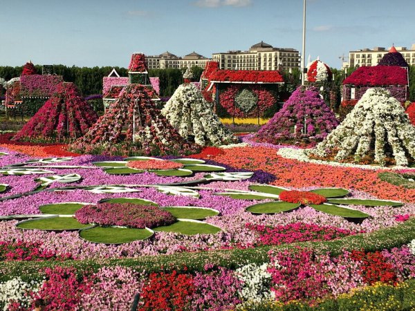 Сад чудес, الإمارات العربية المتحدة, دبي