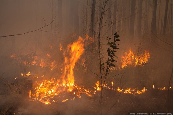 Естественное загрязнение