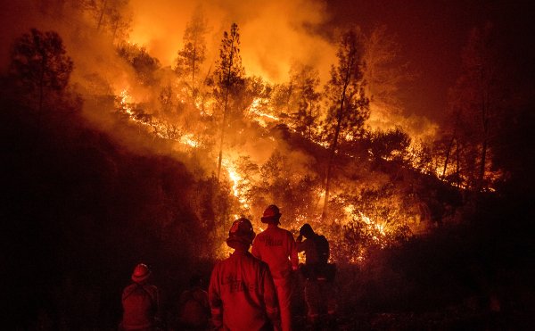 Пожар в лесах Африки