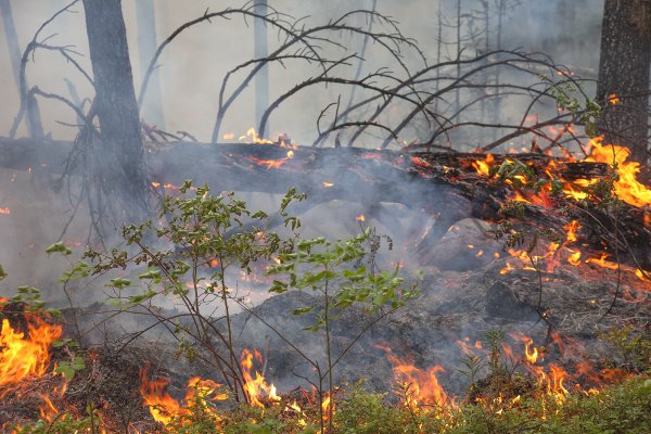 Лесоторфяные пожары