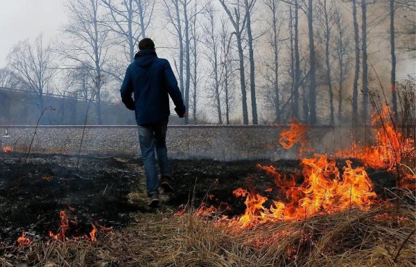 Пожар в лесу