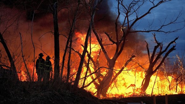 Огонь в лесах война