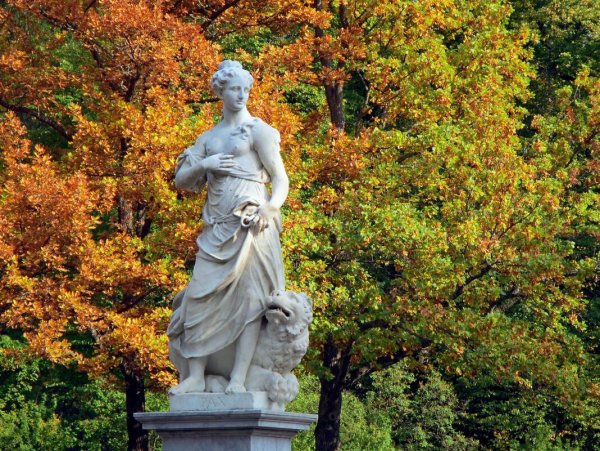 Павловск парк осень