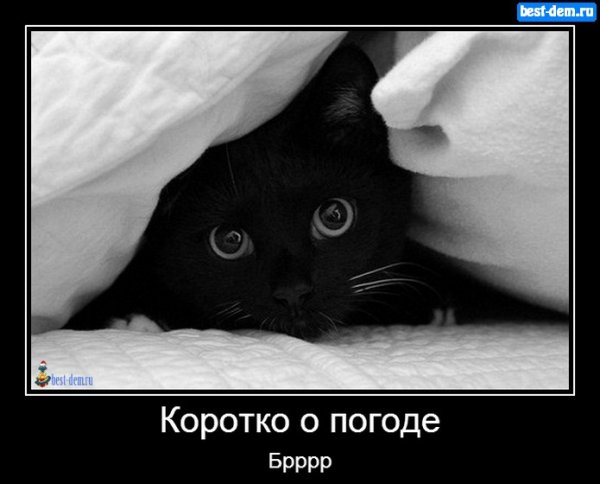 Коротко о погоде