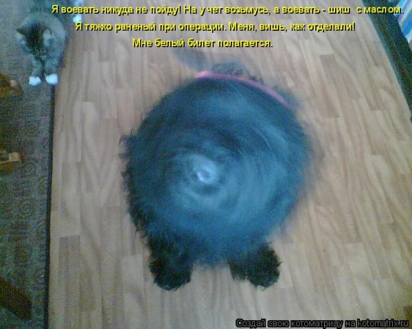 Я воевать не пойду шариков