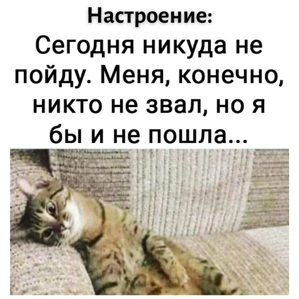 Сегодня никуда не пойду меня конечно никто