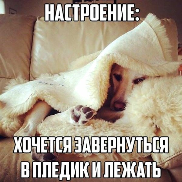 Настроение укутаться в плед