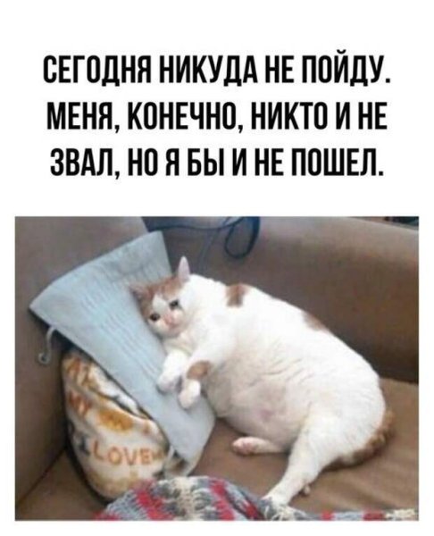 Сегодня никуда не пойду меня конечно никто и не