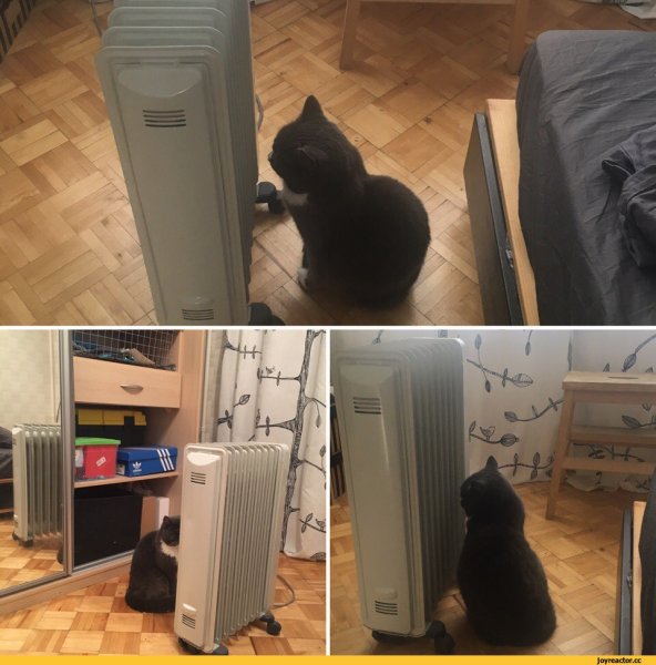 Обогреватель юмор