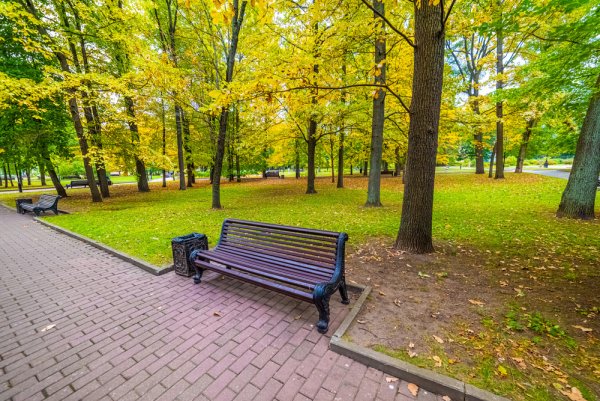 Парки Москвы для прогулок