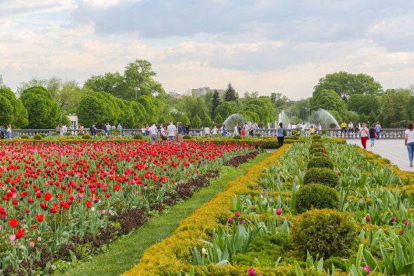 Парки Москвы парк Горького