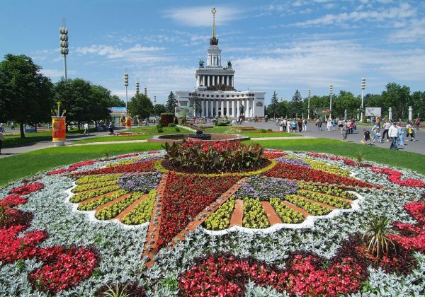 Партерные цветники ВДНХ