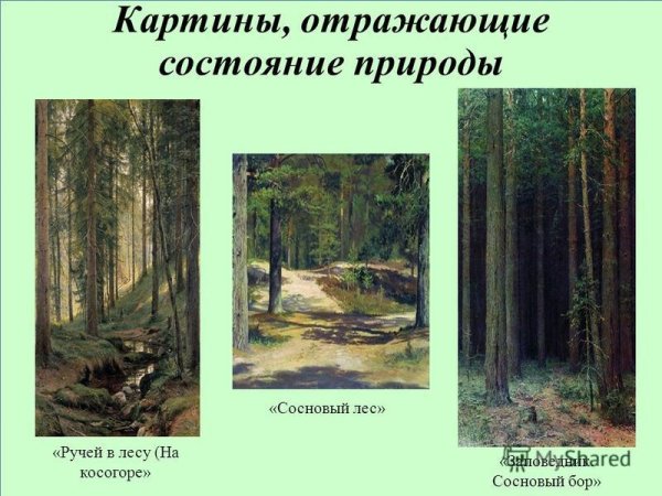 «Ручей в лесу (на косогоре)»