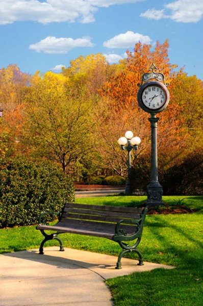 Осенний парк с фонарями