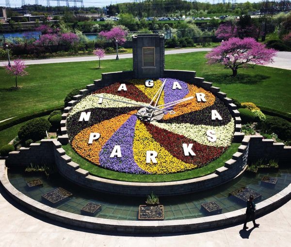 Цветочные часы Карла Линнея