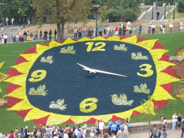 Цветочные часы