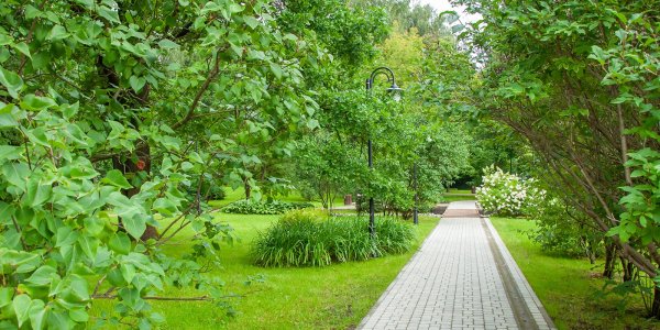 Парк Сокольники сиреневый сад