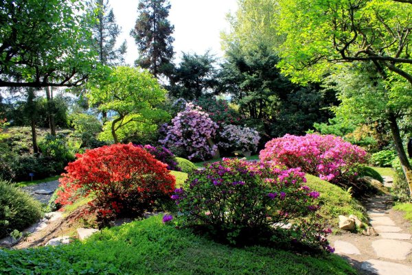 Ботанический сад парк Дендрарий