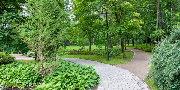 Сиреневый парк Сокольники