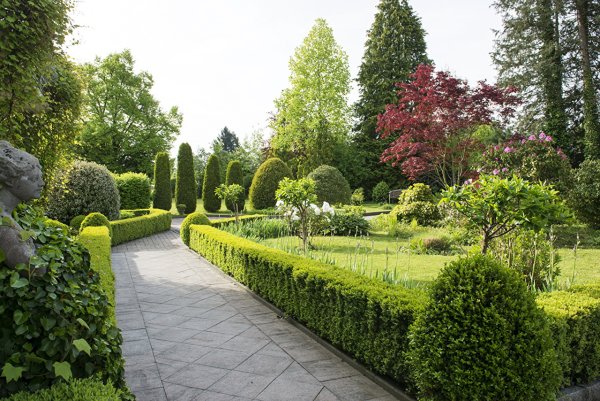 Живая изгородь французский сад Палисад