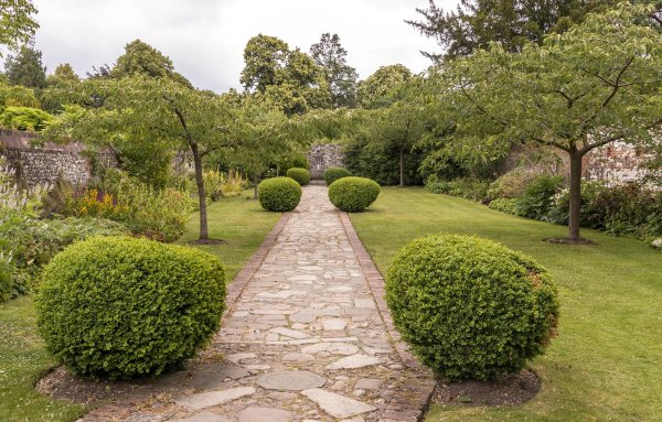 Парк Бельвиль кустарники